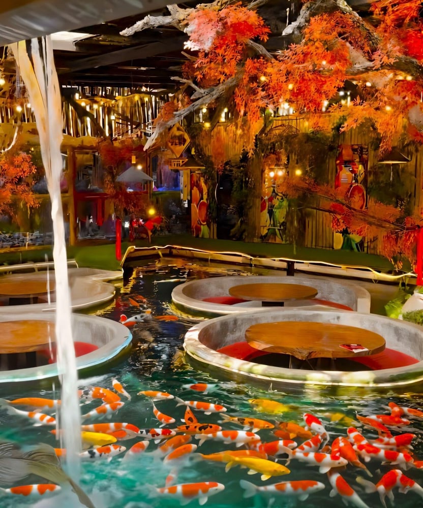 Carp Café in Chiang Mai: Unique Café, Floating Tables & Peaceful Escape