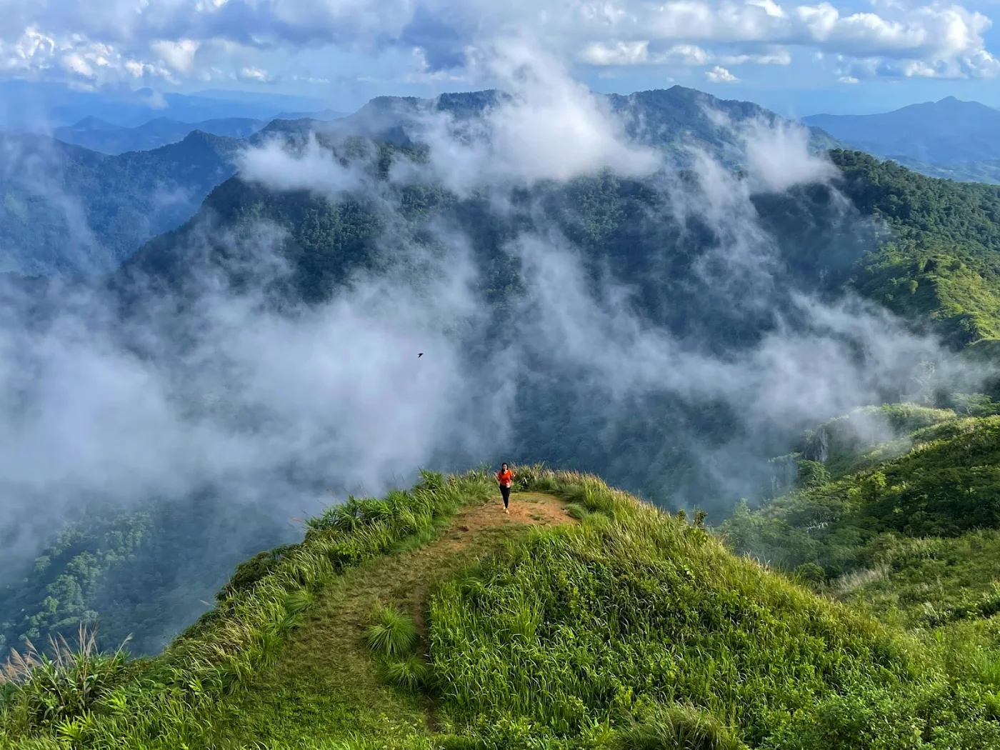phu-chi-fa-forest-park-in-chiang-rai-sunrise-views-highland-hikes